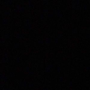 Meet your Posher, Vika